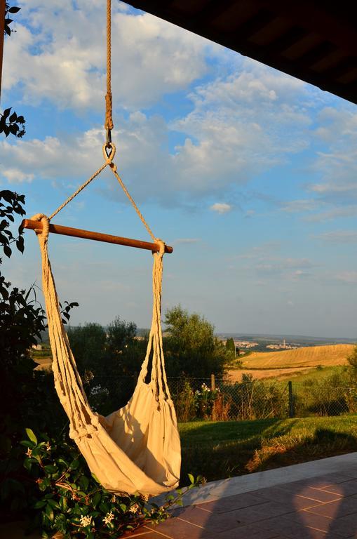 Agriturismo Terre Di Musignano Canino Quarto foto