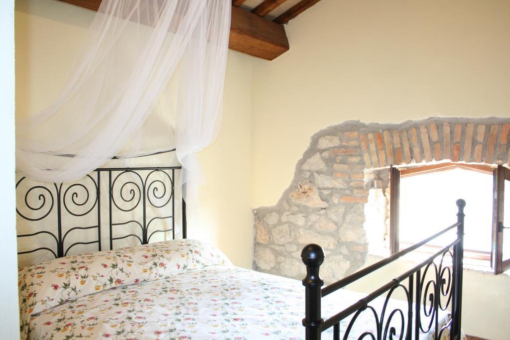 Agriturismo Terre Di Musignano Canino Quarto foto